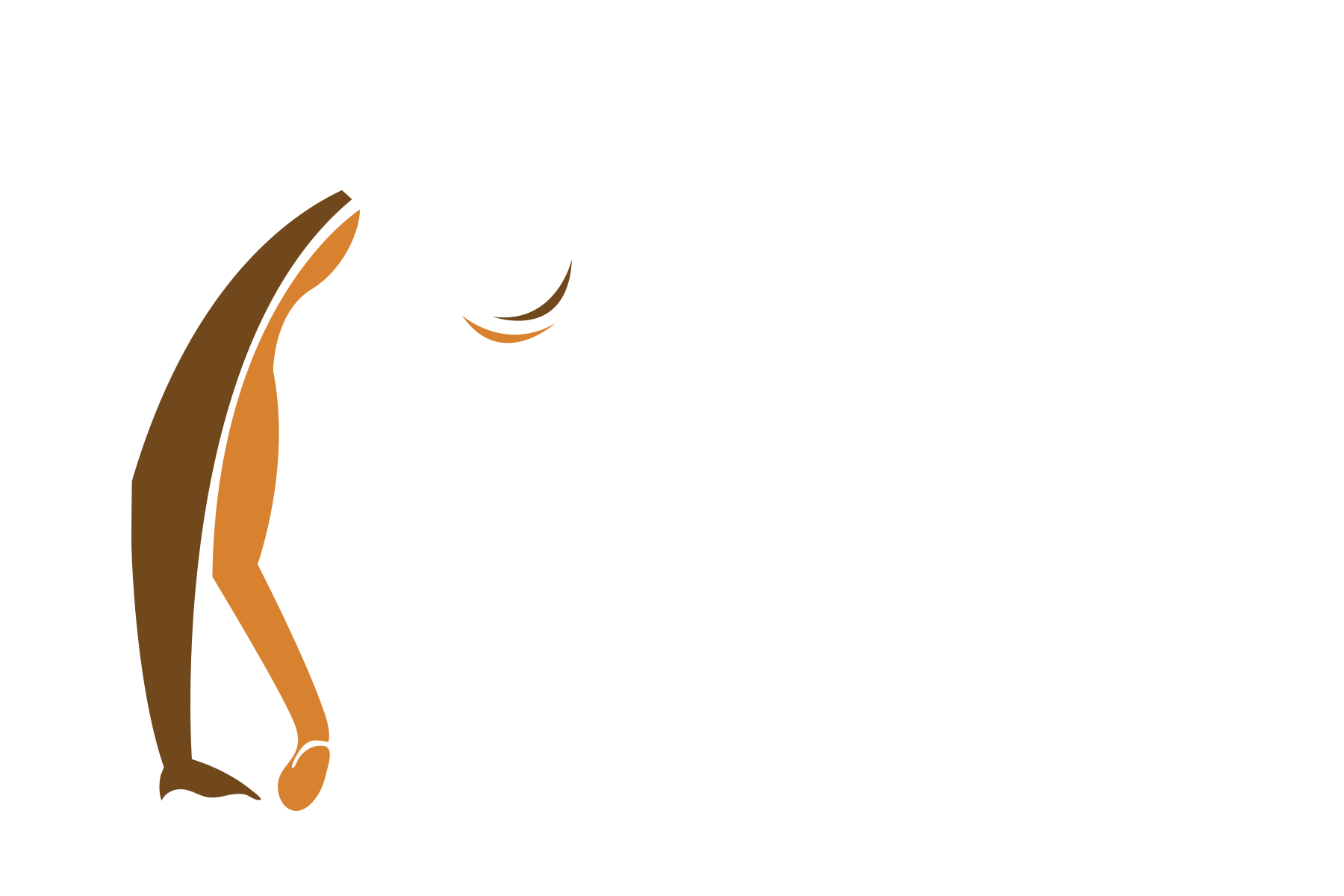 Ed Rodriguez Memorial Cup
